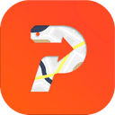 Plick logo